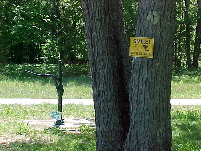 Smile tree