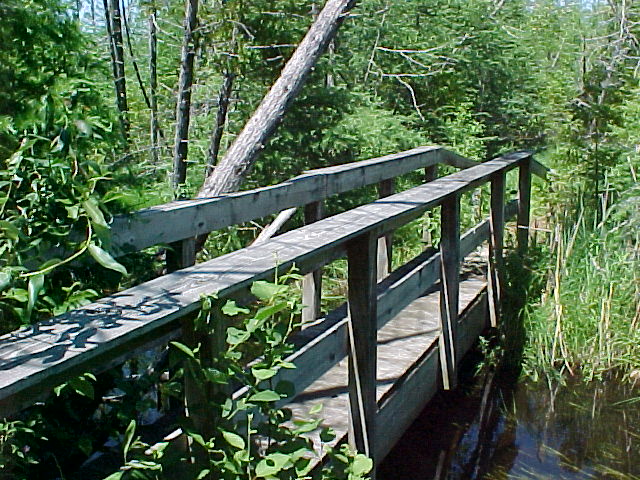 Bridge