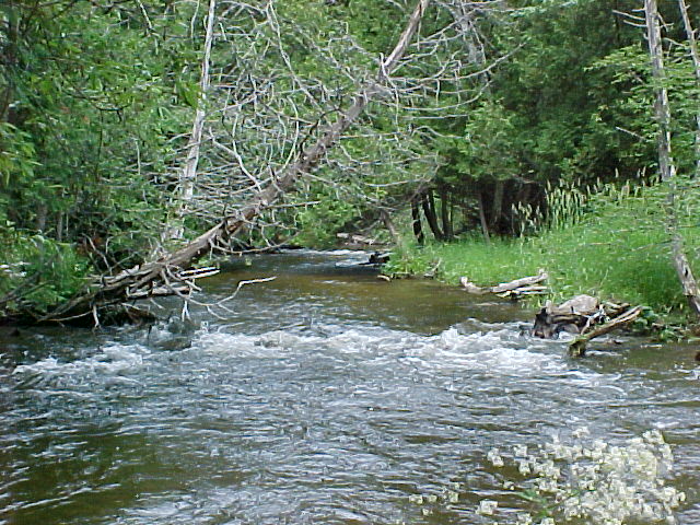River