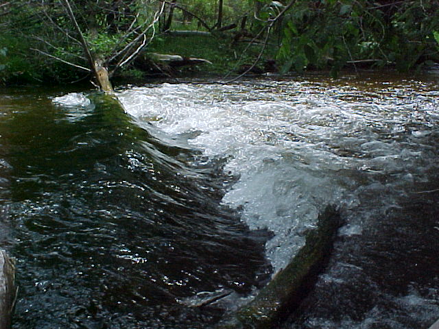 River