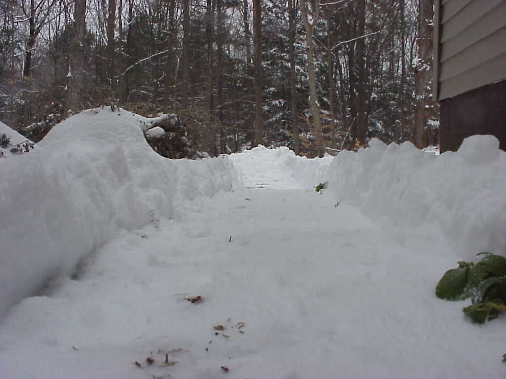 Snow shoveled path