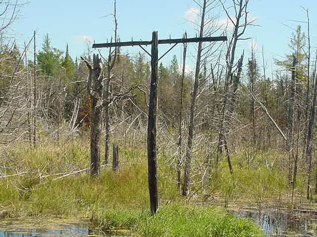 Telegraph line