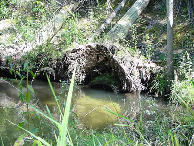 Culvert