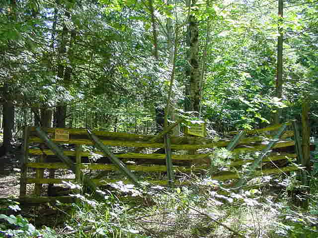 Fence