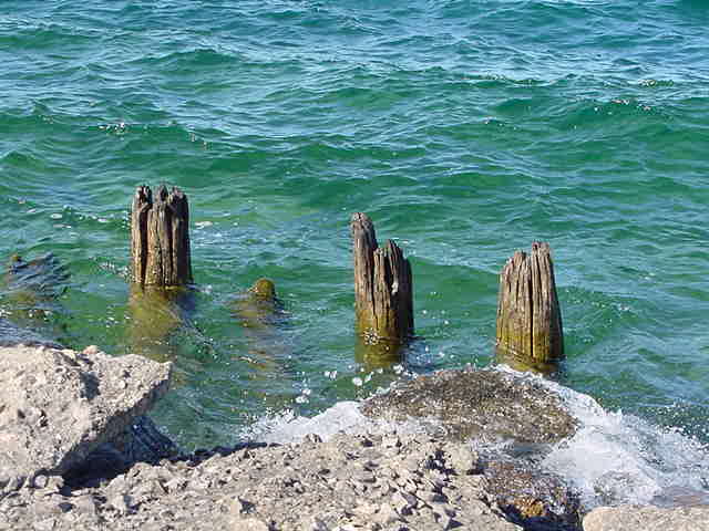 Posts in lake