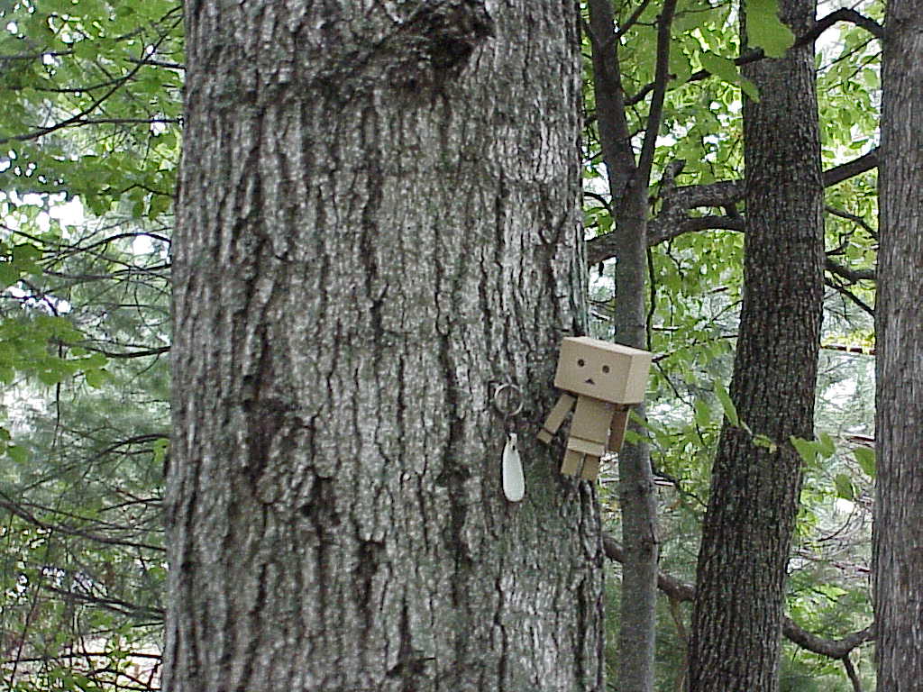 Danbo hanging in a tree