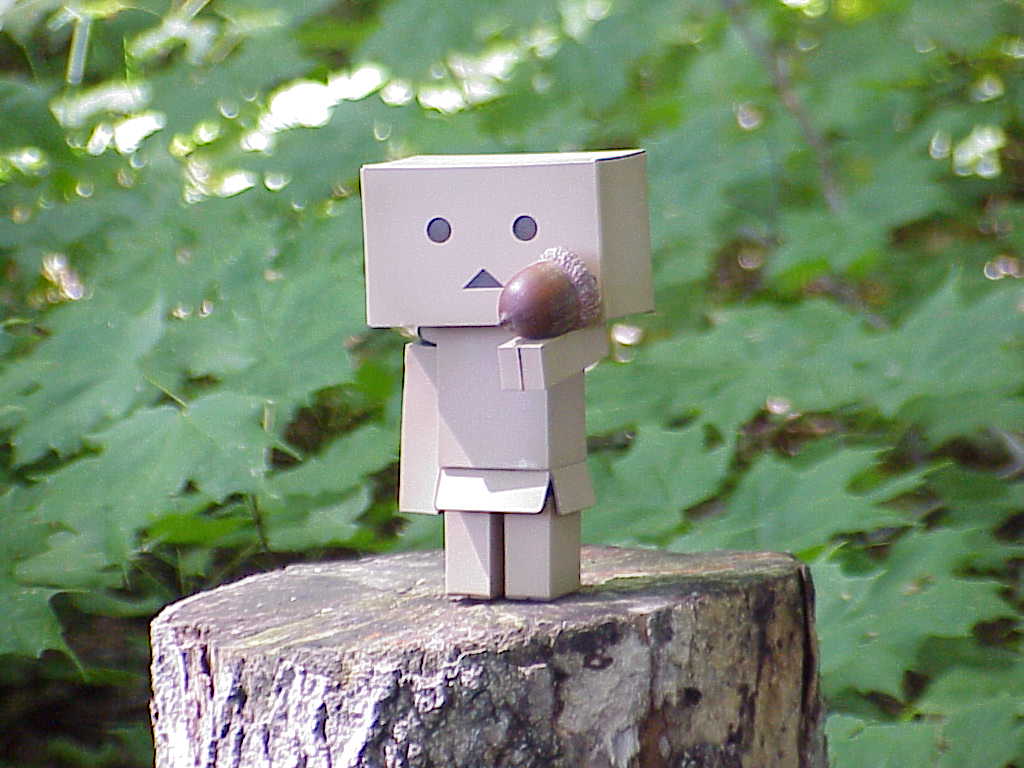 Danbo holding an acorn