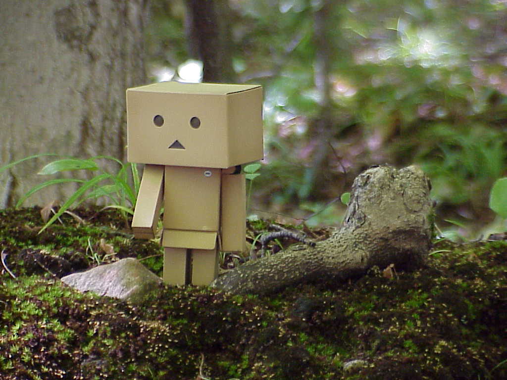 Danbo on moss
