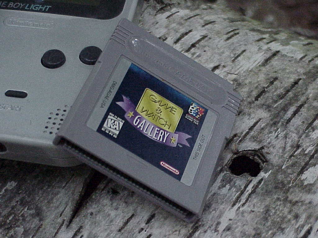 Game & Watch Gallery