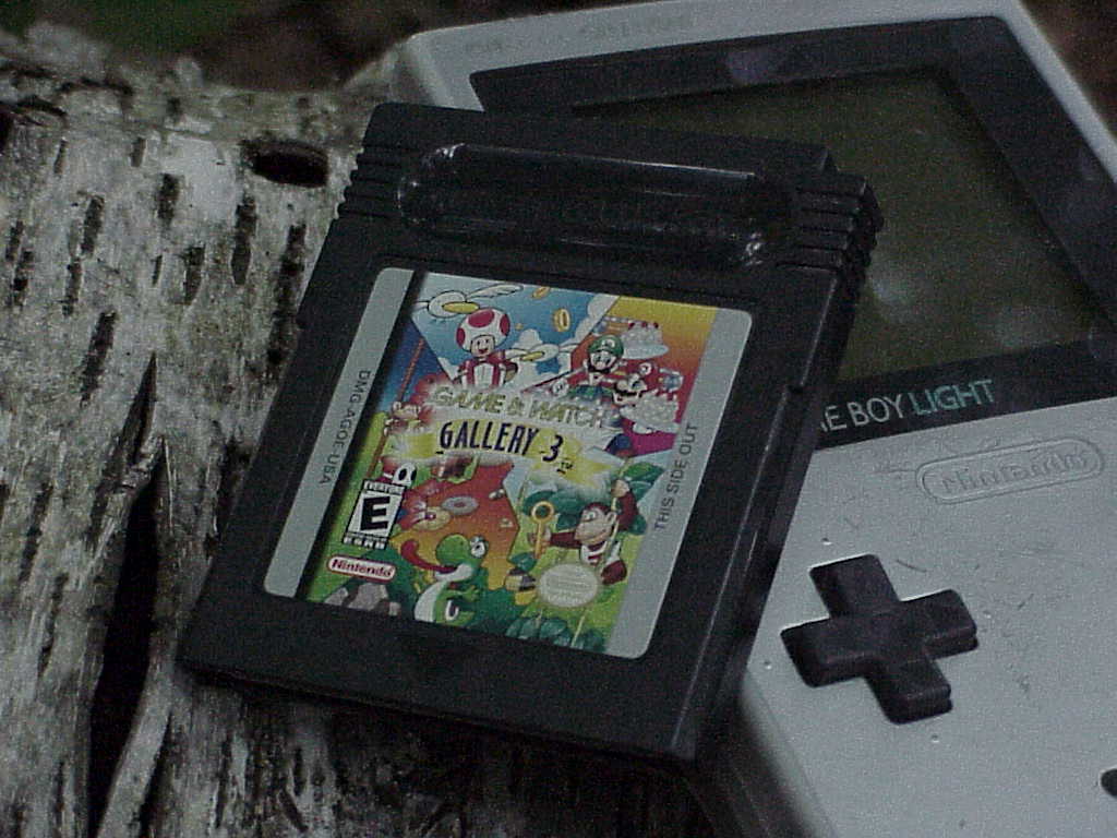Game & Watch Gallery 3