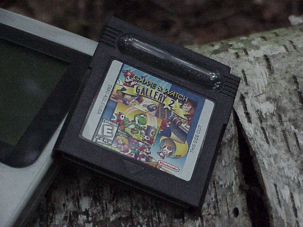 Game & Watch Gallery 2