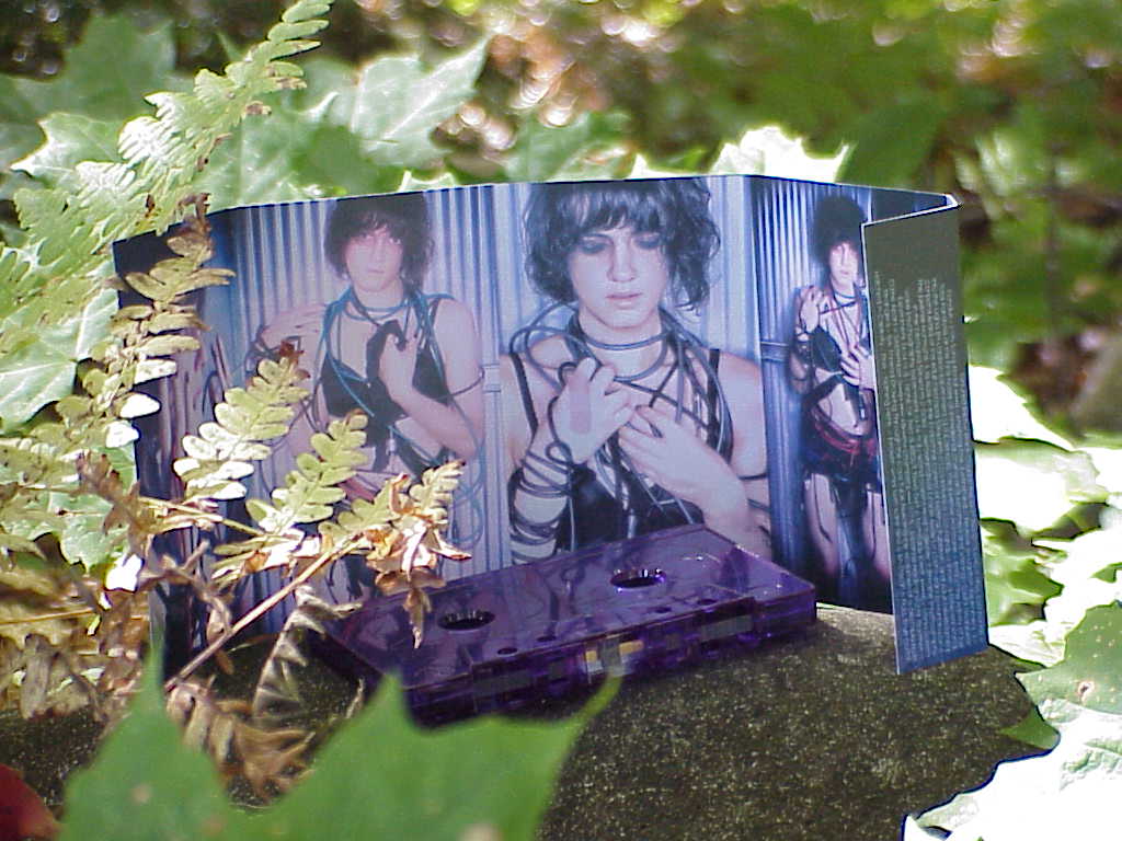 2​,​020 Knives by Ada Rook cassette