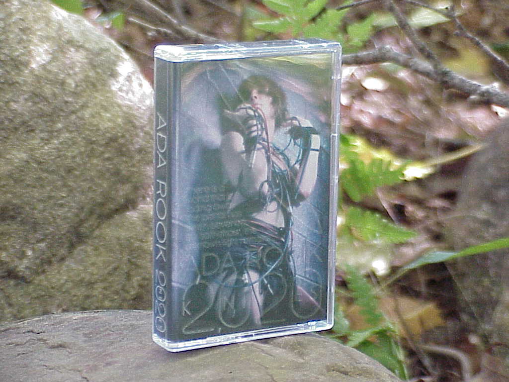 2​,​020 Knives by Ada Rook cassette