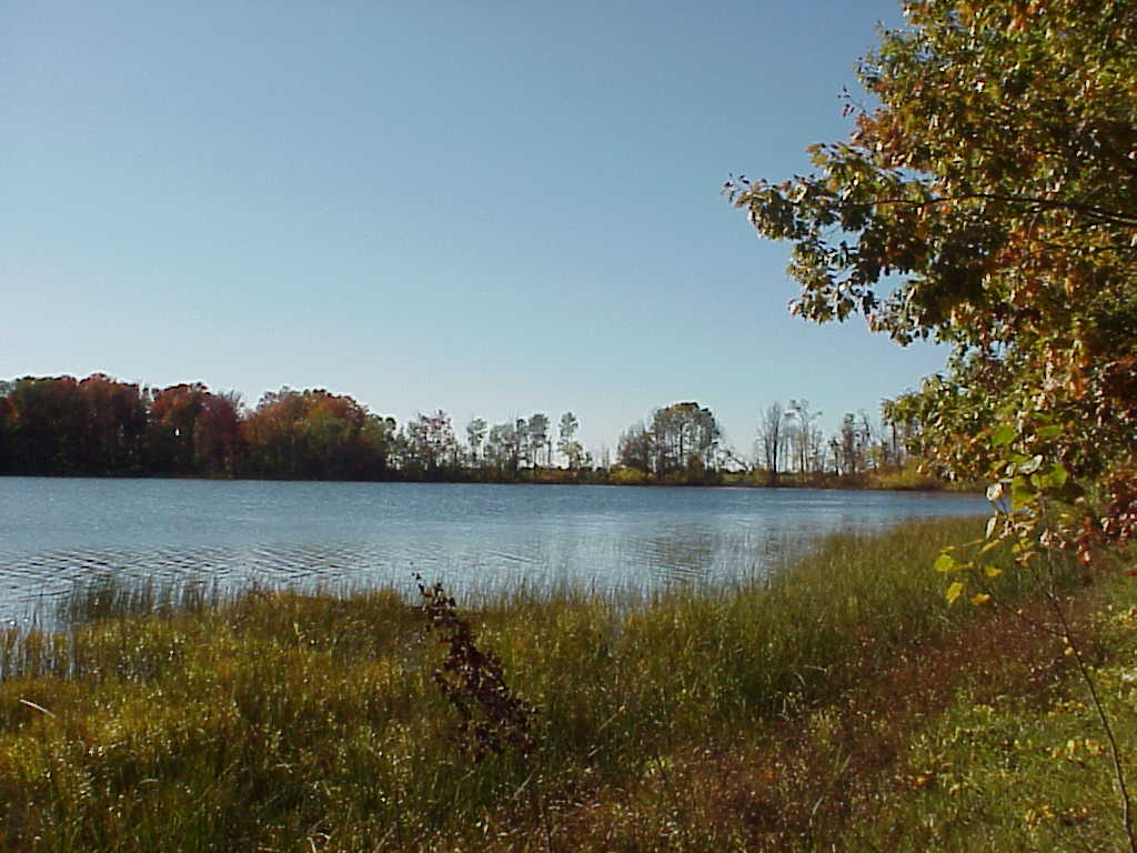Lake