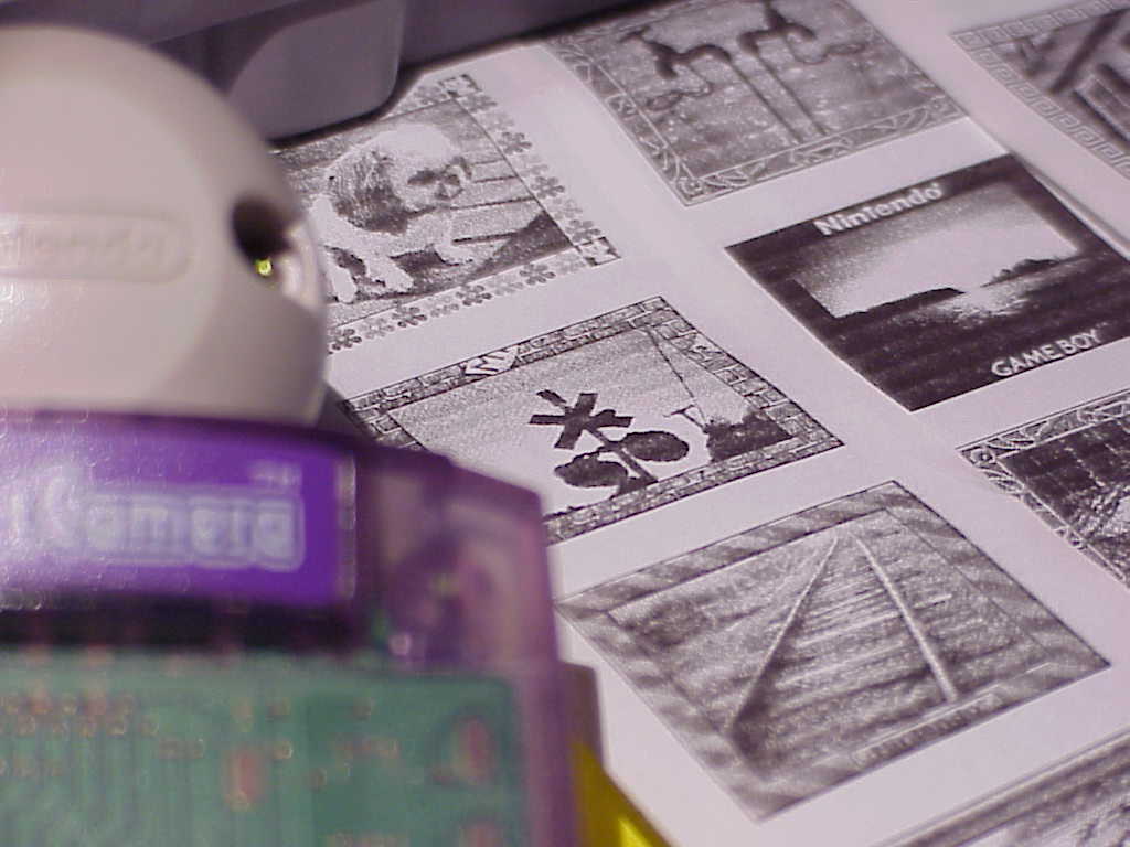 Game Boy Camera and Printer prints