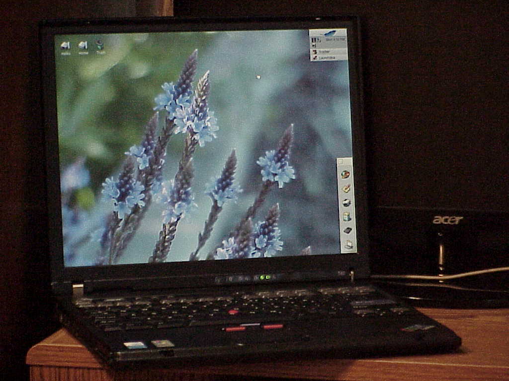IBM Thinkpad T42