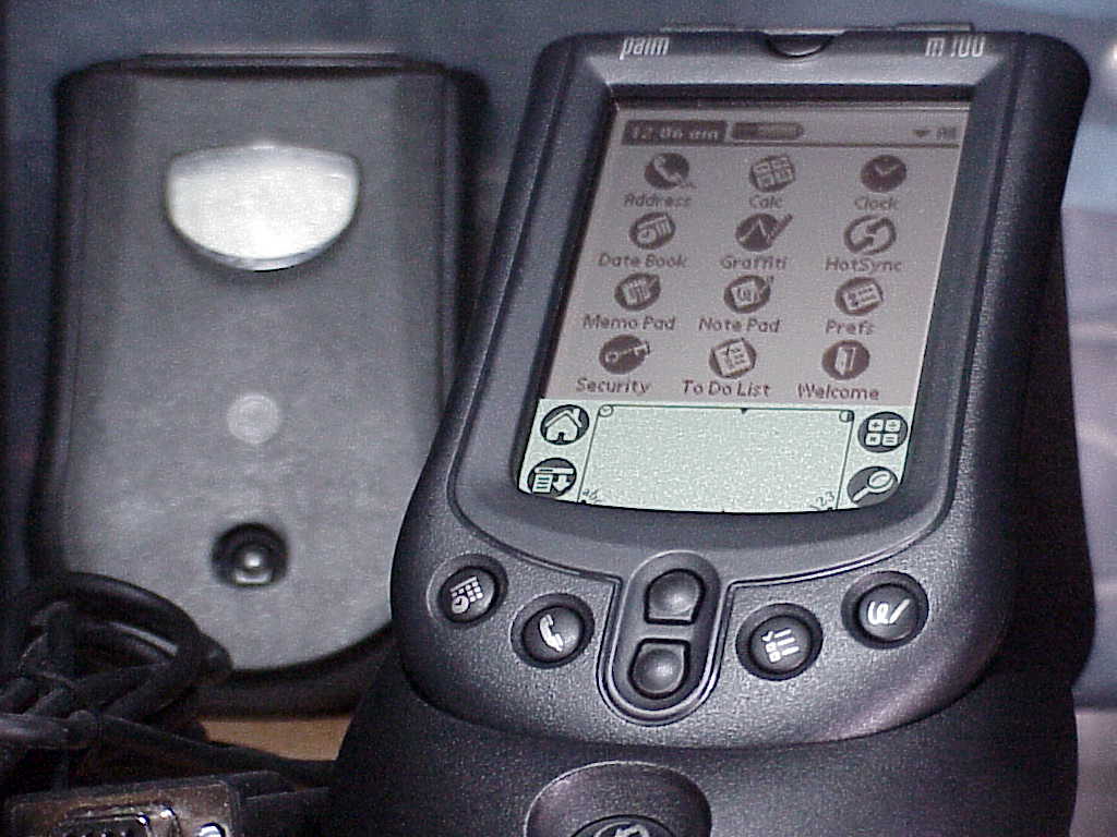 Palm m100