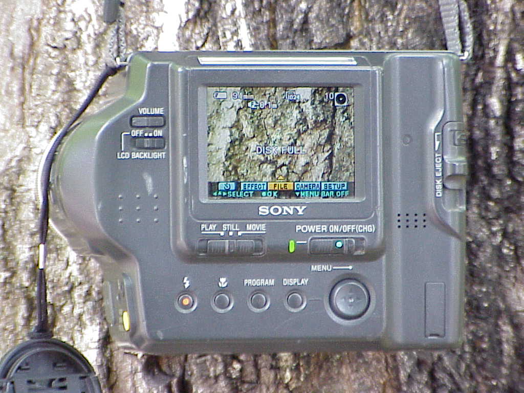 Sony Mavica MVC-FD90 back