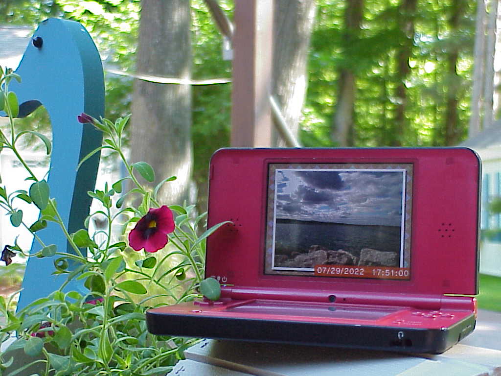 Nintendo DSi XL