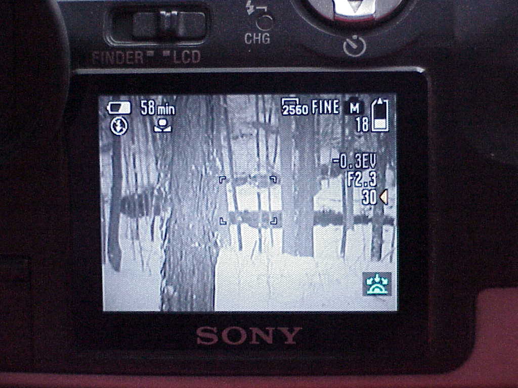 Sony Cyber-shot DSC-F707 screen
