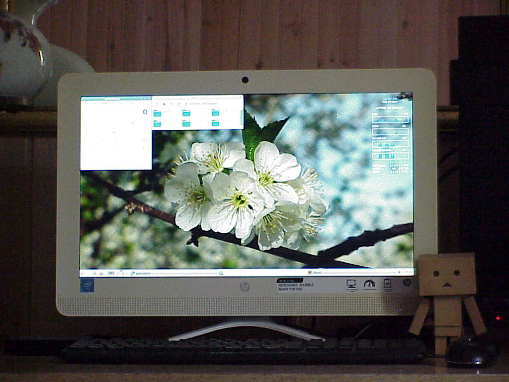 HP All-in-One 20-c023w