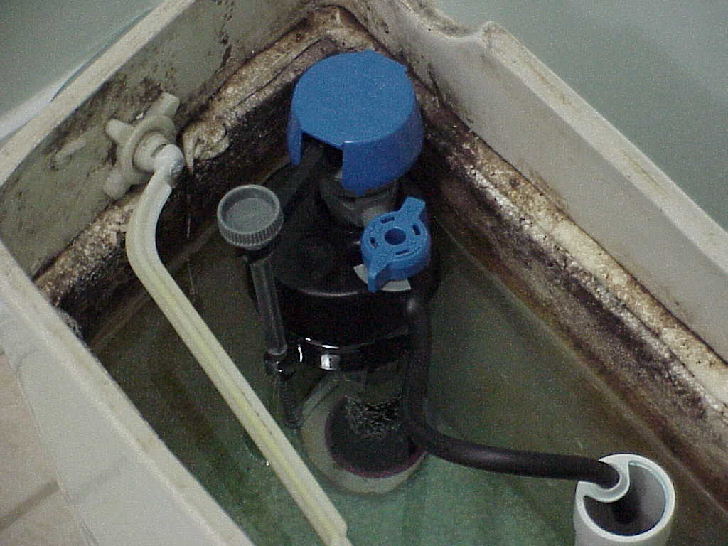 Water valve