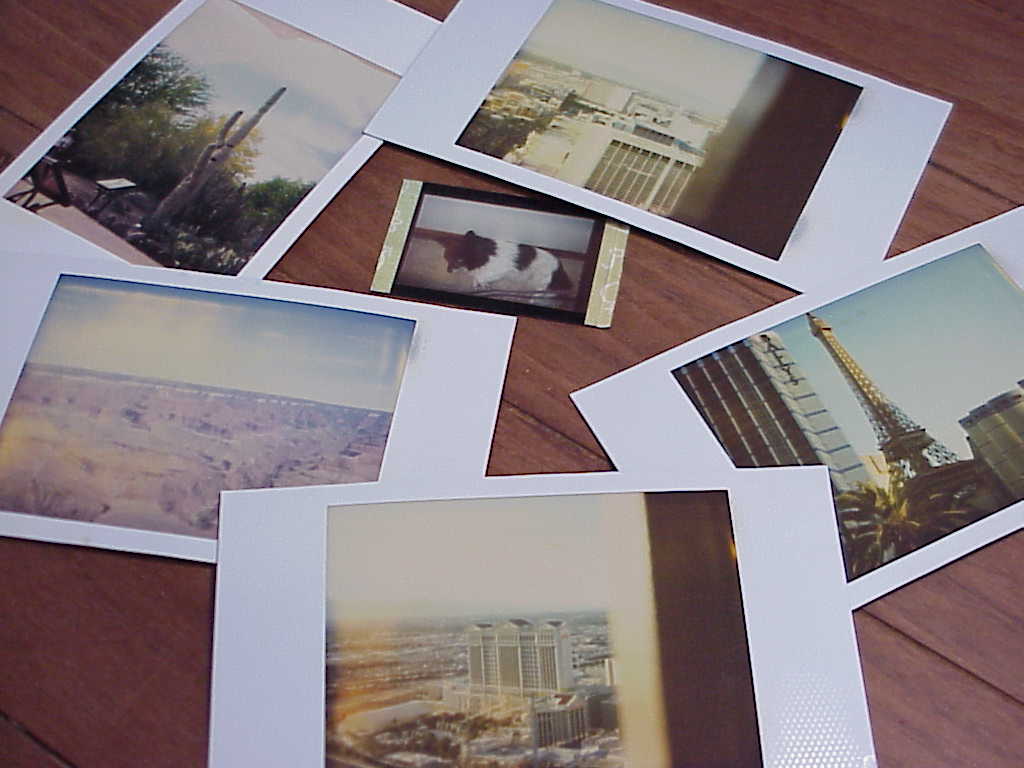 Photos