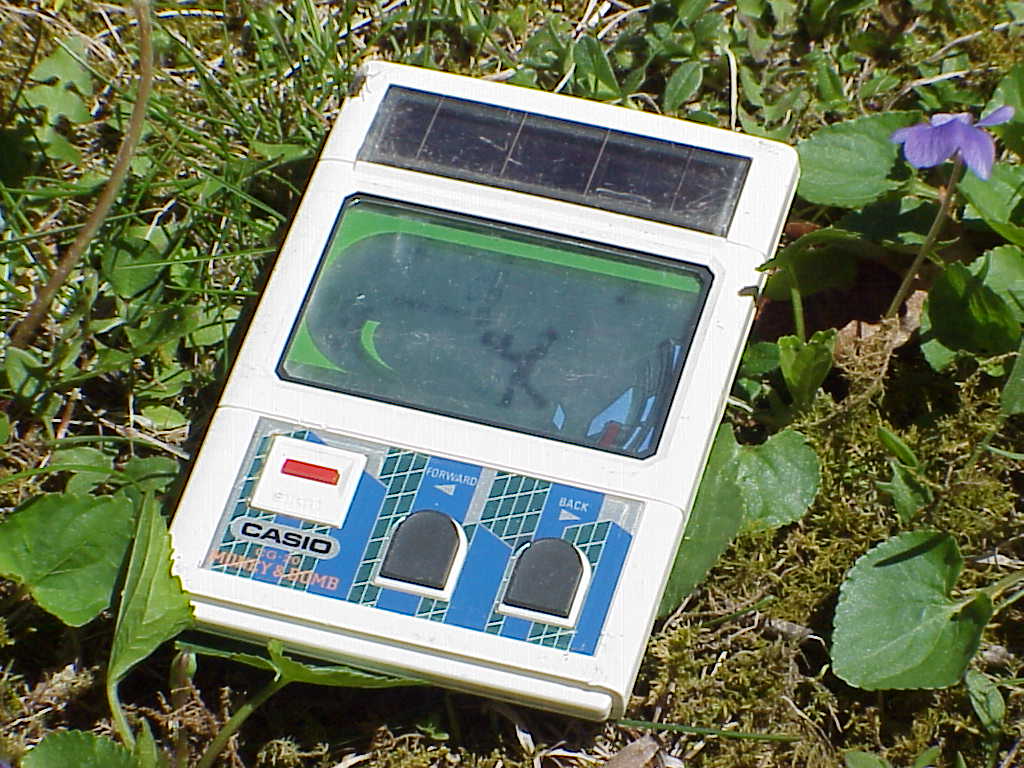 CASIO MONEY & BOMB CG-20