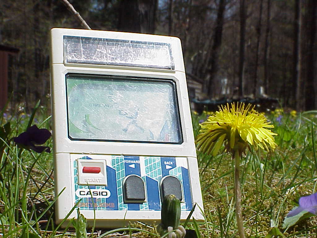 CASIO MONEY & BOMB CG-20
