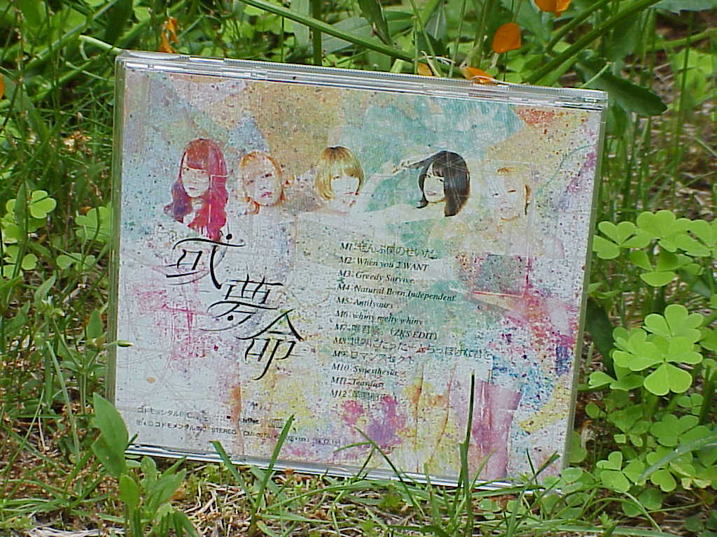 或夢命 by ぜんぶ君のせいだ。 back