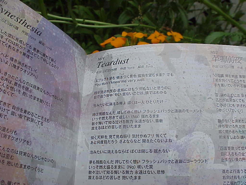 或夢命 by ぜんぶ君のせいだ。 lyric book