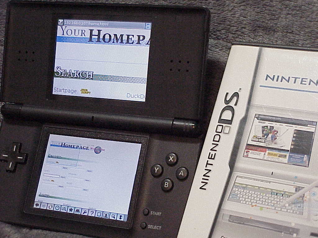 Nintendo DS browser
