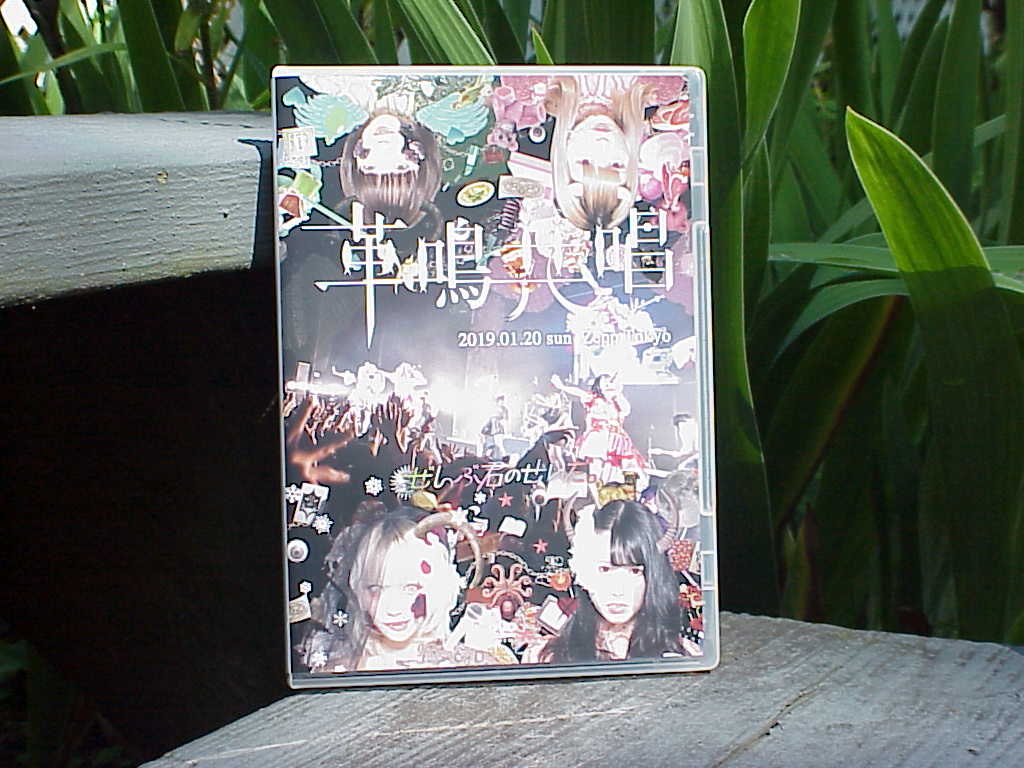Zepp Tokyo ワンマンLIVE ~革鳴共唱~ by ぜんぶ君のせいだ。 - front