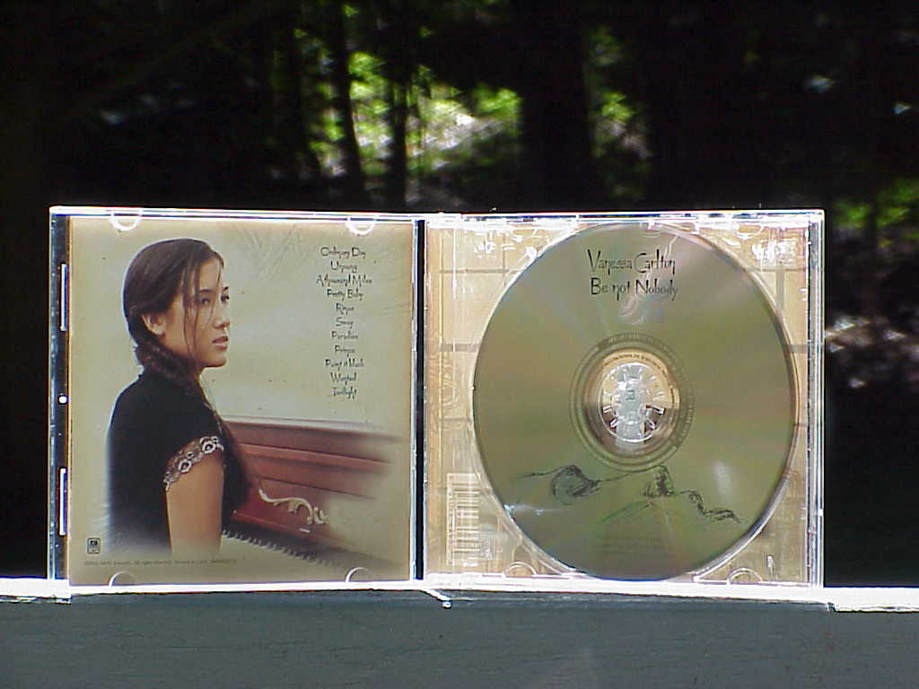 Be Not Nobody by Vanessa Carlton inside