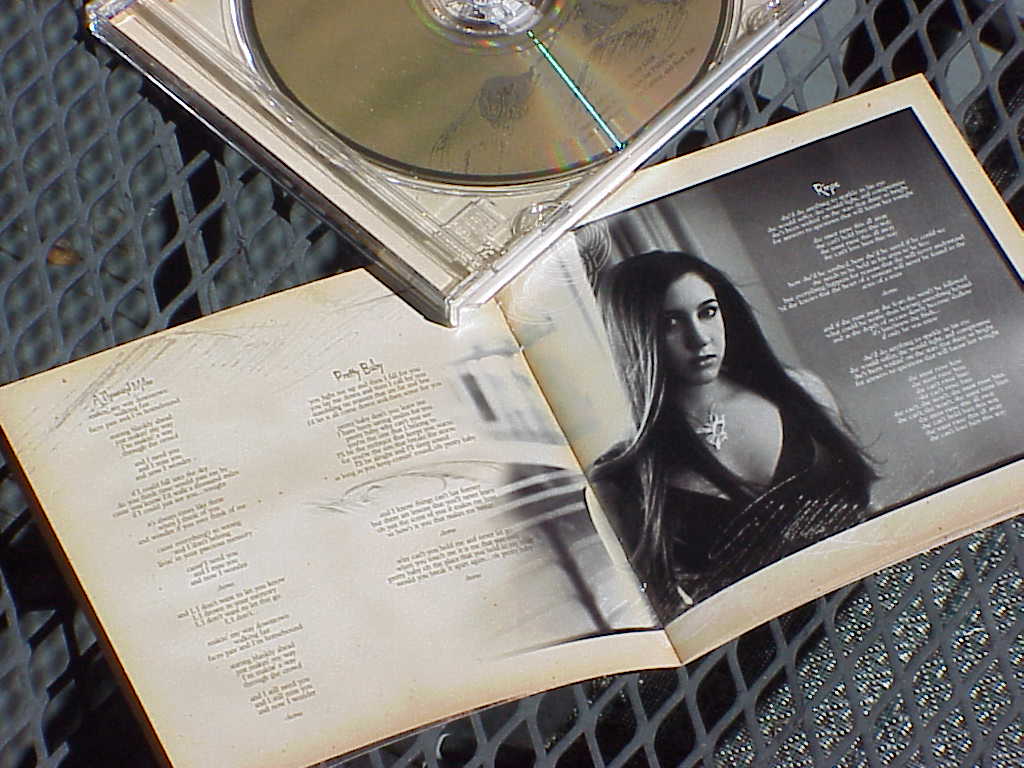 Be Not Nobody by Vanessa Carlton lyrics