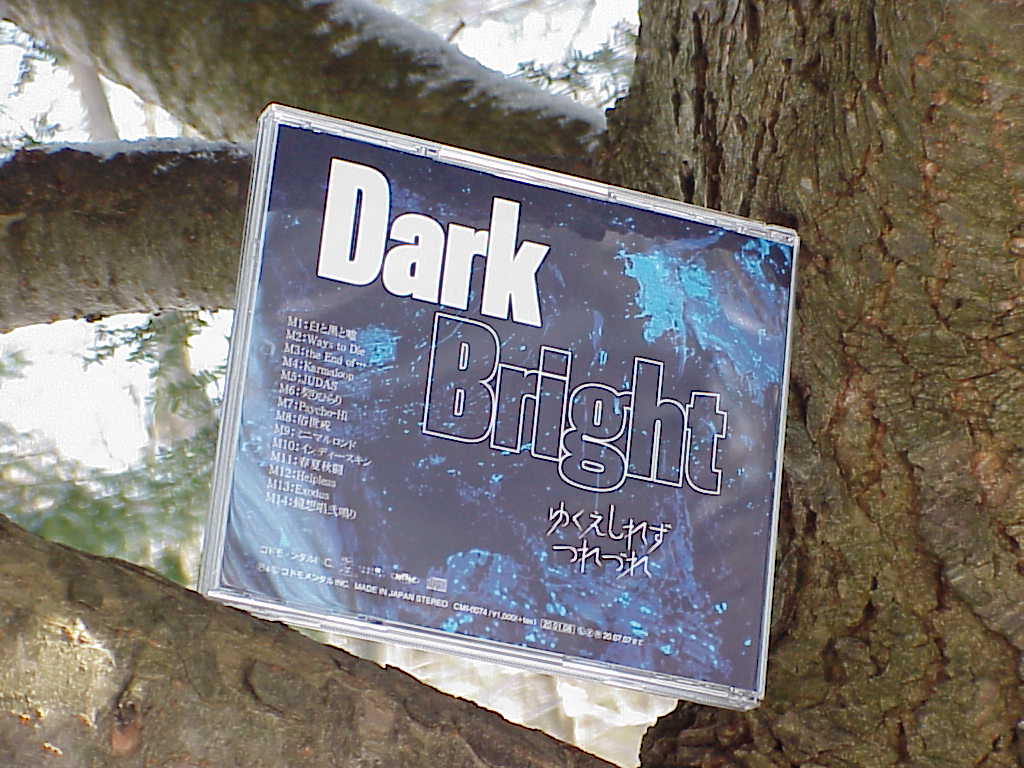 DarkBright by ゆくえしれずつれづれ back