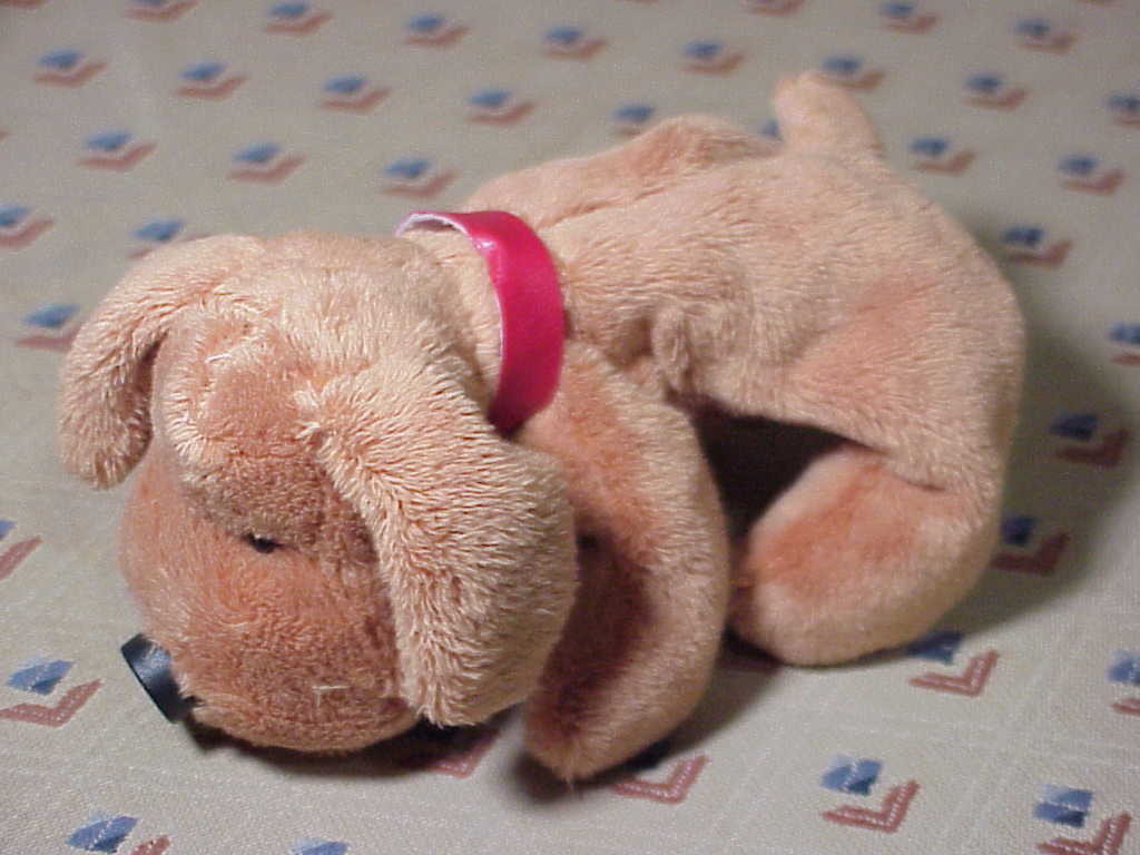 PetC@m A300 Web Camera dog