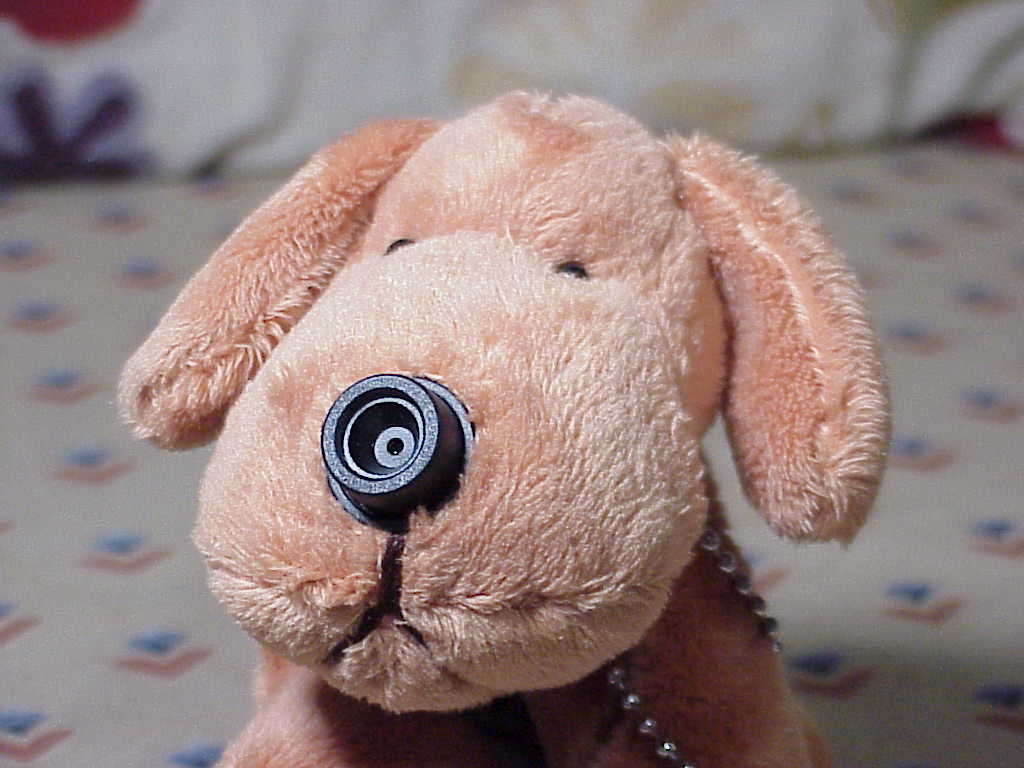 PetC@m A300 Web Camera dog