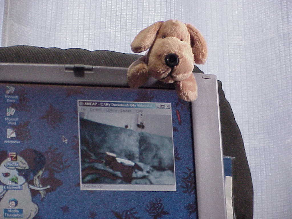 PetC@m A300 Web Camera on laptop