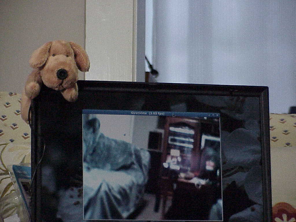 PetC@m A300 Web Camera on laptop