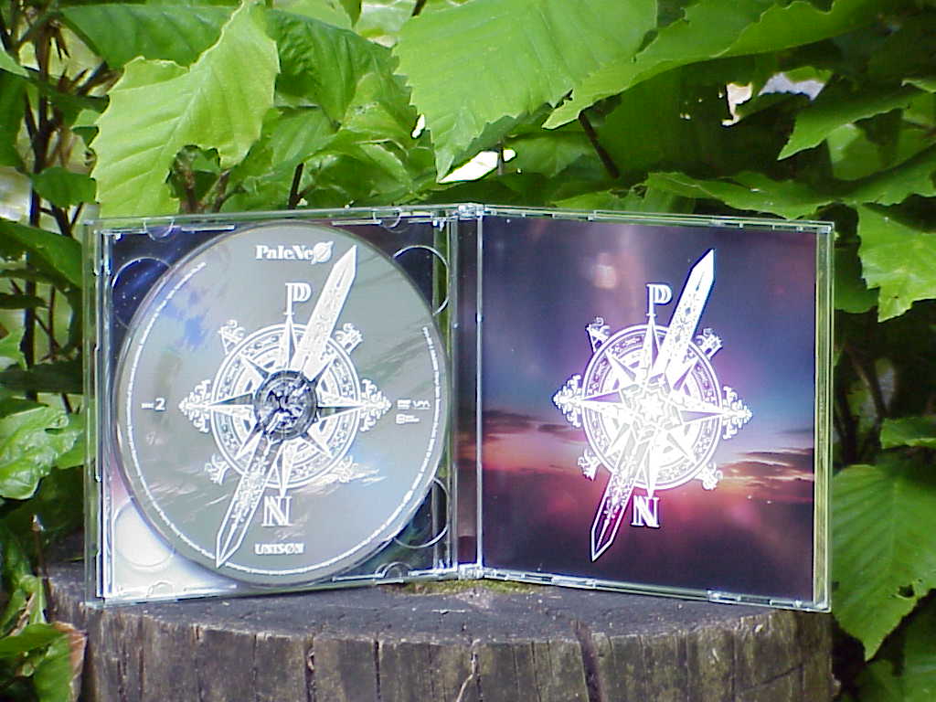 UNISØN by PaleNeØ DVD