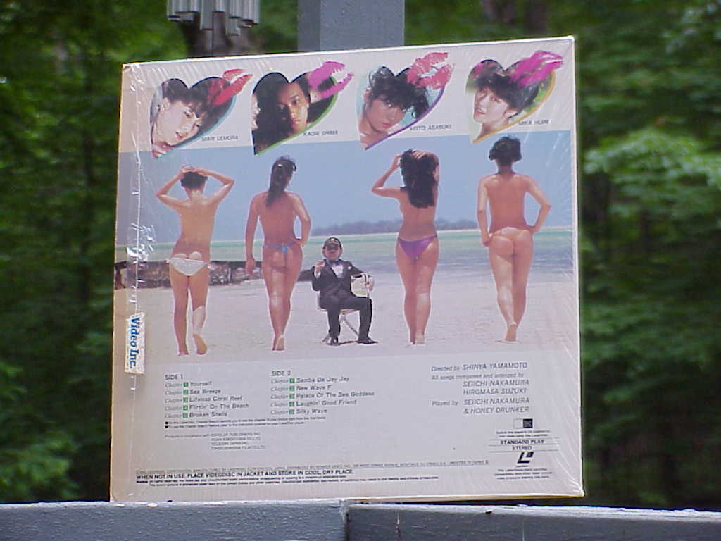 Tropical Hi-Noon back cover