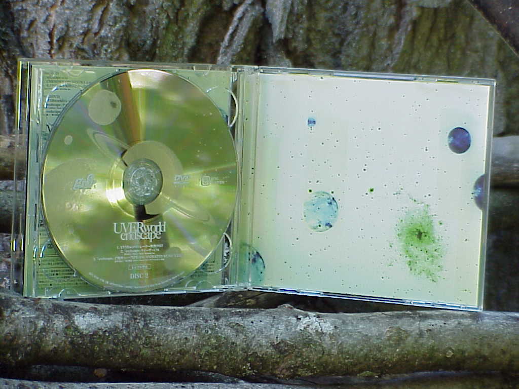 endscape by UVERworld DVD
