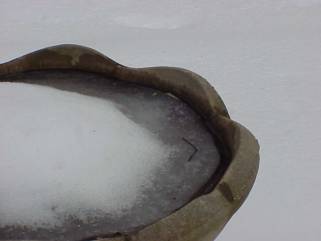 Frozen birdbath