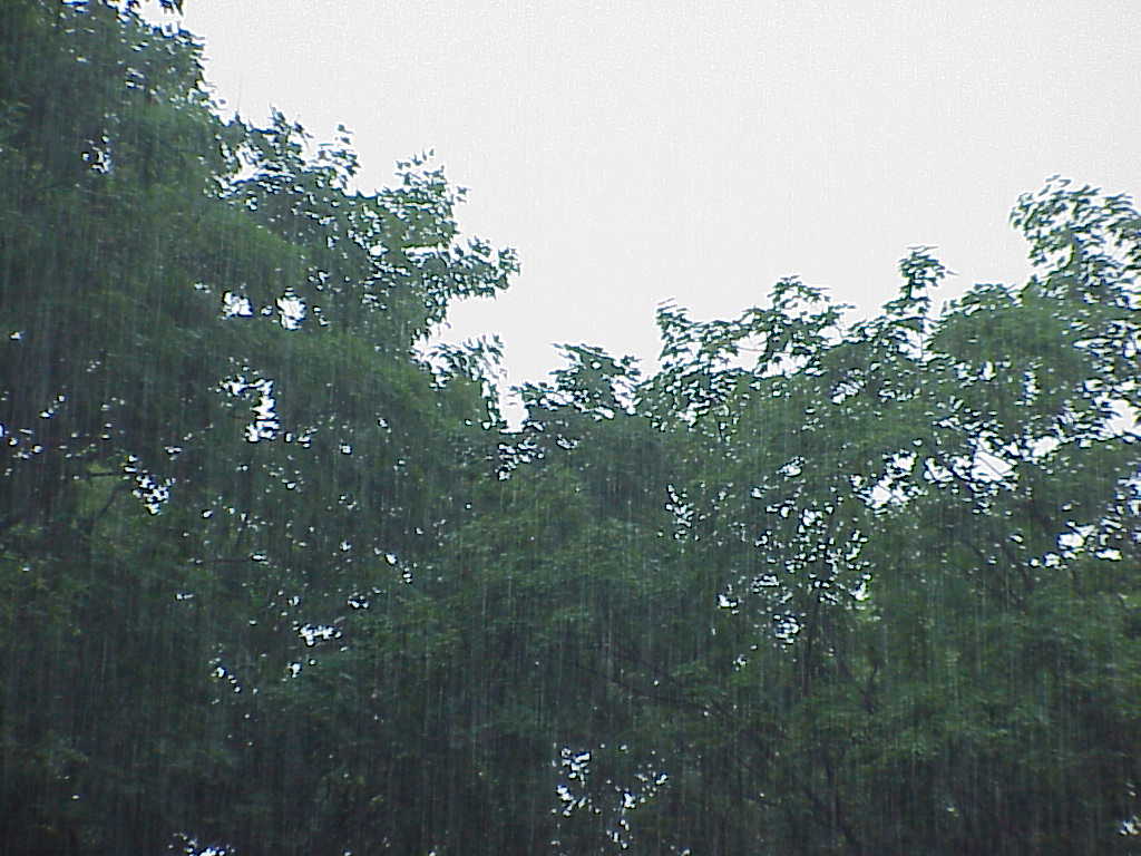 Rain
