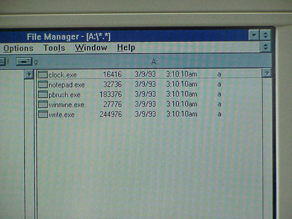 Windows 3.1 file manager