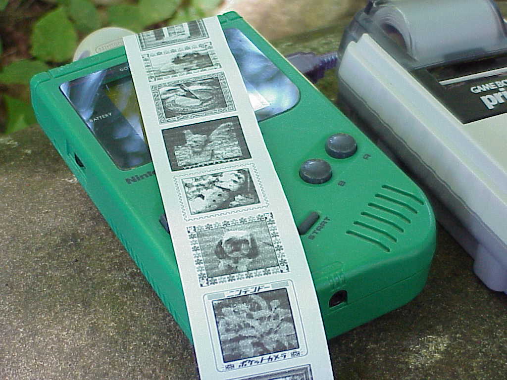 Game Boy Camera and Printer prints