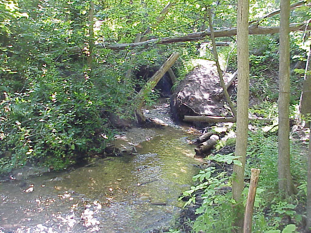 River