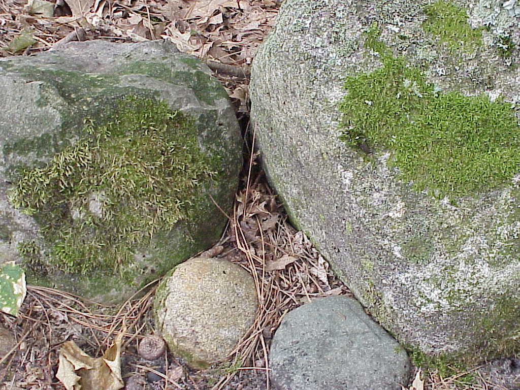 Rocks