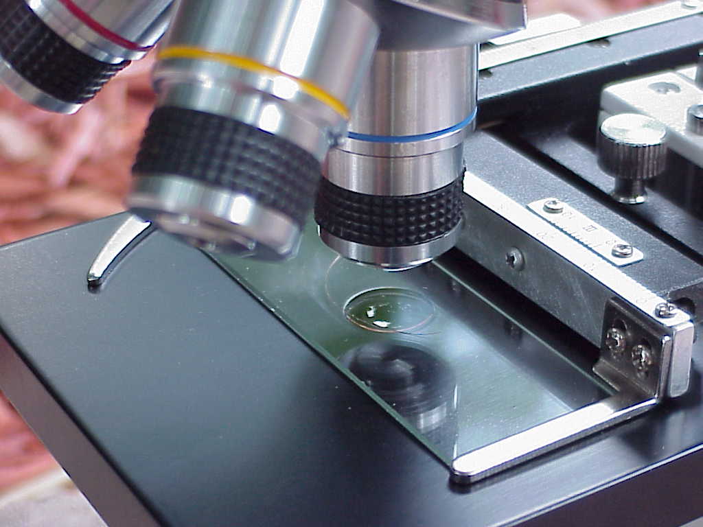 Amscope M150C microscope